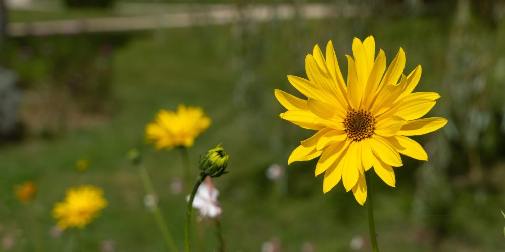 Pontaubert _ Vault de Lugny - © sev@ID'Photo-50